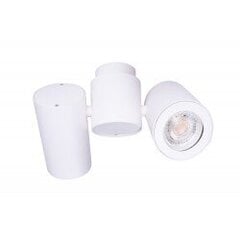 Lubinis šviestuvas Maxlight Barro kolekcija baltos spalvos 2xGU10 C0113 kaina ir informacija | Lubiniai šviestuvai | pigu.lt