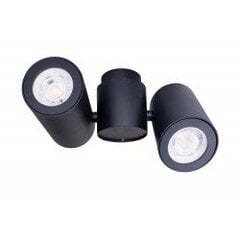 MAXLIGHT C0114 LAMPA SUFITOWA BARRO II CZARNA цена и информация | Потолочные светильники | pigu.lt