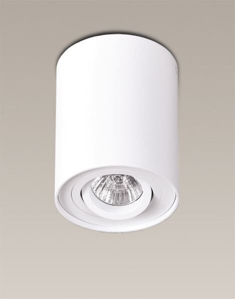 Basic Round C0067, lubinis šviestuvas kaina ir informacija | Lubiniai šviestuvai | pigu.lt