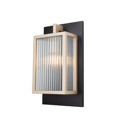 CITATEL W0295, sieninis šviestuvas kaina ir informacija | Sieniniai šviestuvai | pigu.lt