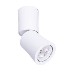 MAXLIGHT C0123 LAMPA SUFITOWA DOT BIAŁA цена и информация | Потолочные светильники | pigu.lt