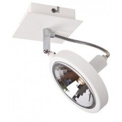 MAXLIGHT C0139 KINKIET/LAMPA SUFITOWA REFLEX BIAŁA, G9 цена и информация | Потолочные светильники | pigu.lt