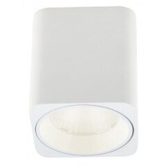 Lubinis šviestuvas Maxlight Tub kolekcija balta 6x6cm 7W 3000K C0156 kaina ir informacija | Lubiniai šviestuvai | pigu.lt