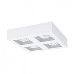 FERREROS wall / ceiling light цена и информация | Потолочные светильники | pigu.lt