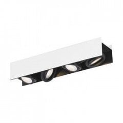 VIDAGO ceiling light цена и информация | Потолочные светильники | pigu.lt