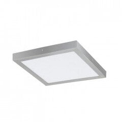 FUEVA 1 surface-mounted light цена и информация | Потолочные светильники | pigu.lt
