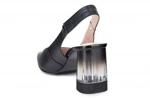 Женские сандали Lady Couture 262188035751 цена и информация | Женские туфли | pigu.lt
