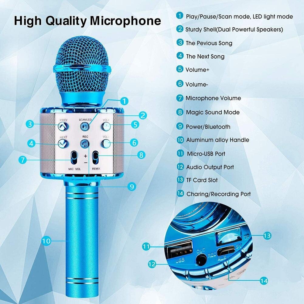 Belaidis Bluetooth mikrofonas, garsiakalbis FM radijas kaina ir informacija | Lavinamieji žaislai | pigu.lt