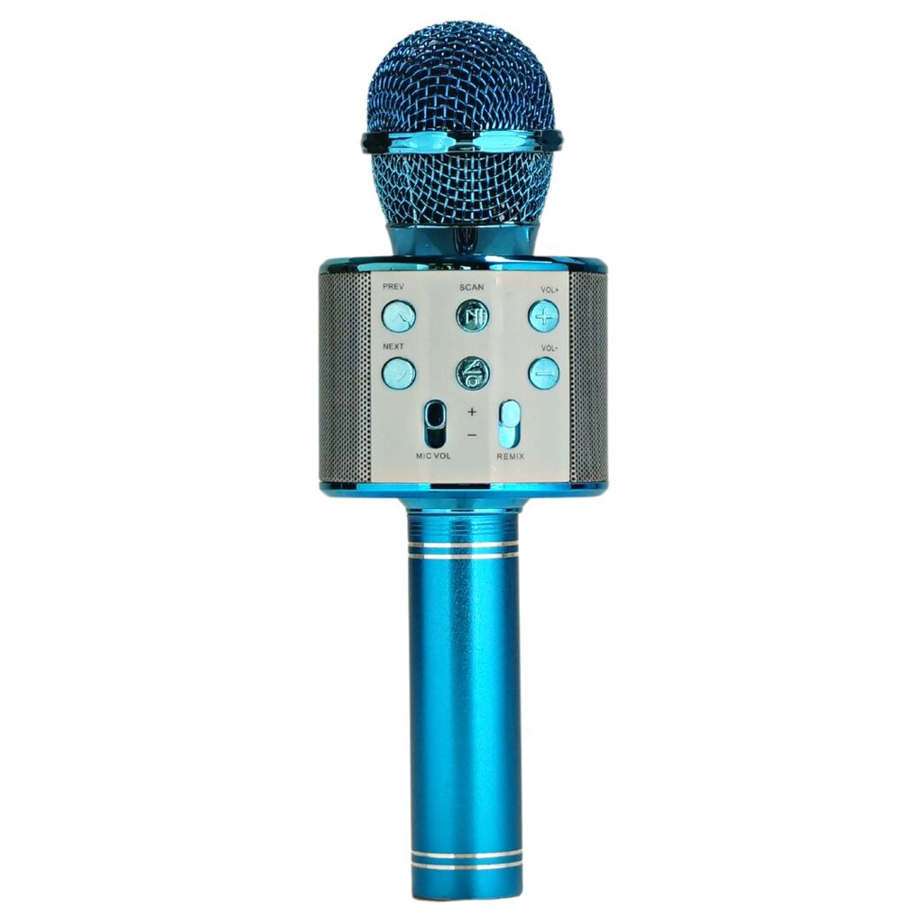 Belaidis Bluetooth mikrofonas, garsiakalbis FM radijas kaina ir informacija | Lavinamieji žaislai | pigu.lt