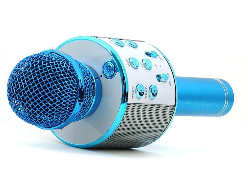 Belaidis Bluetooth mikrofonas, garsiakalbis FM radijas kaina ir informacija | Lavinamieji žaislai | pigu.lt