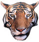 Splat Planet pagalvė Tigras SP44778 цена и информация | Dekoratyvinės pagalvėlės ir užvalkalai | pigu.lt