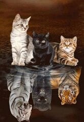 Deimantinė mozaika Figured'Art Kačiukai su atspindžiais kaina ir informacija | Deimantinės mozaikos | pigu.lt