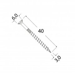 Шурупы по дереву CS 3,0x40 500шт TX10 цена и информация | Крепежные изделия | pigu.lt