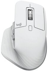 Pelė Logitech 910-006560 kaina ir informacija | Pelės | pigu.lt