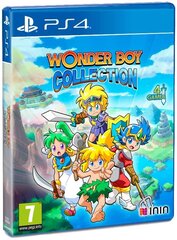 PS4 Wonder Boy Collection цена и информация | Компьютерные игры | pigu.lt