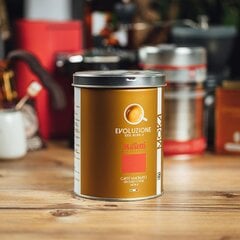 Кофе Musetti 100% Arabica Tin, 250 г. цена и информация | Кофе, какао | pigu.lt