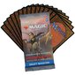 Kortų žaidimas Magic The Gathering Commander Legends: Battle for Baldur’s Gate Draft Booster kaina ir informacija | Stalo žaidimai, galvosūkiai | pigu.lt