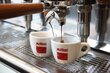 Kava Musetti Espresso, 250 g цена и информация | Kava, kakava | pigu.lt