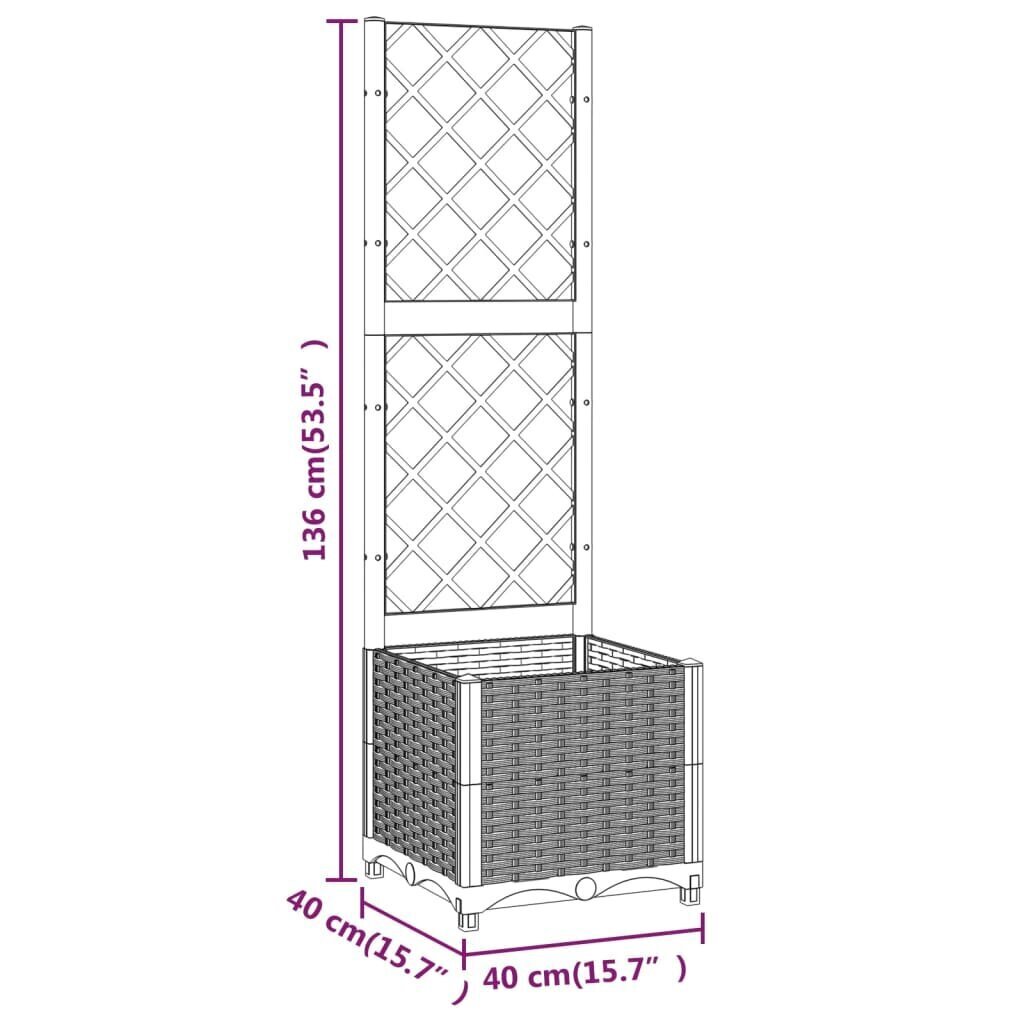 Sodo lovelis su treliažu 40x40x136cm kaina ir informacija | Vazonėliai daiginimui ir persodinimui | pigu.lt