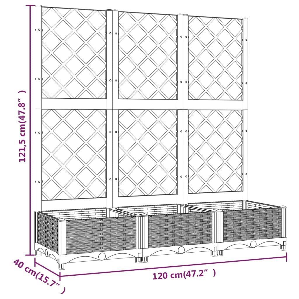 Sodo lovelis su treliažu 120x40x121,5cm kaina ir informacija | Vazonėliai daiginimui ir persodinimui | pigu.lt