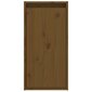 vidaXL Sieninė spintelė, medaus ruda, 30x30x60cm, pušies masyvas kaina ir informacija | Lentynos | pigu.lt