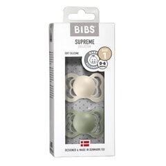 BIBS silikoniniai čiulptukai, 0-6m, 2 vnt., Ivory / Sage kaina ir informacija | Čiulptukai | pigu.lt