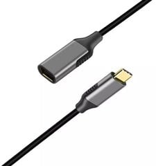 USB-C DisplayPort 1.2 moterų 4K 60HZ adapterio kabelis цена и информация | Адаптеры, USB-разветвители | pigu.lt