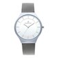 Vyriškas laikrodis Radiant RA531602 S0363448 kaina ir informacija | Vyriški laikrodžiai | pigu.lt