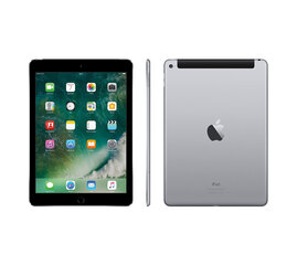 iPad Air 2, 64GB, WiFi, Pilka (panaudotas, būklė A) kaina ir informacija | Planšetiniai kompiuteriai | pigu.lt