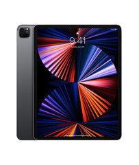 iPad Pro 12.9" 5.gen, 256GB, WiFi, pilka (panaudotas, būklė A) kaina ir informacija | Planšetiniai kompiuteriai | pigu.lt