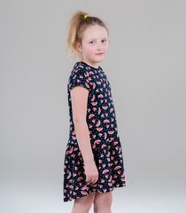 Детское платье Name It 13200372*06, тёмно-синее /розовое 5715217677826 цена и информация | Платья для девочек | pigu.lt