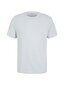Tom Tailor vyriški marškinėliai 4065308658724 kaina ir informacija | Vyriški marškinėliai | pigu.lt