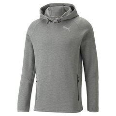 Puma vyriškas džemperis 4064535874358 kaina ir informacija | Sportinė apranga vyrams | pigu.lt