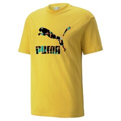 Puma marškinėliai vyrams 4064535463828 kaina ir informacija | Vyriški marškinėliai | pigu.lt