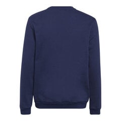 Bluzonas vaikams Adidas Entrada 22 Hoody Jr H57568 цена и информация | Свитеры, жилетки, пиджаки для мальчиков | pigu.lt