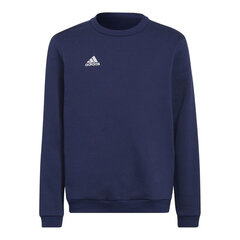 Bluzonas vaikams Adidas Entrada 22 Hoody Jr H57568 цена и информация | Свитеры, жилетки, пиджаки для мальчиков | pigu.lt