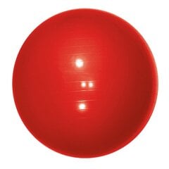 Гимнастический мяч Yate, красный цена и информация | Гимнастические мячи | pigu.lt