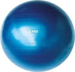 Гимнастический мяч Yate, синего цвета цена и информация | Гимнастические мячи | pigu.lt
