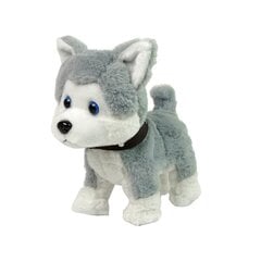 Interaktyvus šuo haskis Lean Toys 9964 цена и информация | Игрушки для девочек | pigu.lt