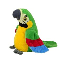 Интерактивный говорящий попугай Lean Toys цена и информация | Мягкие игрушки | pigu.lt