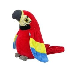 Интерактивный говорящий попугай Lean Toys цена и информация | Игрушки для девочек | pigu.lt
