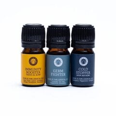 Eterinių aliejų rinkinys Song of India Wellness, 3x5 ml kaina ir informacija | Eteriniai, kosmetiniai aliejai, hidrolatai | pigu.lt