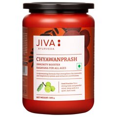 Ayurvedic herbs Chyawanprash, Jiva Ayurveda, 500g цена и информация | Консервы | pigu.lt