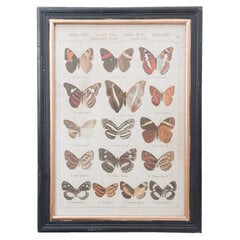 Картина «Бабочки», 40х2х55 см цена и информация | Репродукции, картины | pigu.lt