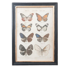 Картина «Бабочки» цена и информация | Репродукции, картины | pigu.lt