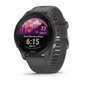 Garmin Forerunner® 255 Slate Gray 46mm kaina ir informacija | Išmanieji laikrodžiai (smartwatch) | pigu.lt