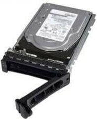 Dell 345-BEBH цена и информация | Внутренние жёсткие диски (HDD, SSD, Hybrid) | pigu.lt