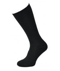 Kojinės Trekingui kaina ir informacija | Vyriškos kojinės | pigu.lt