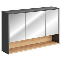 Подвесной шкаф для ванной комнаты Homede Galio, 120 см, серый цвет цена и информация | Шкафчики для ванной | pigu.lt