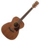 Akustinė gitara Ibanez PC12MH OPN kaina ir informacija | Gitaros | pigu.lt